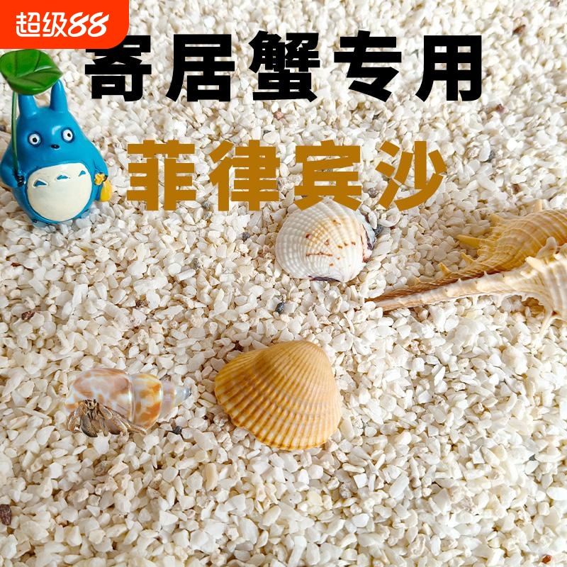 寄居蟹珊瑚沙滩热带鱼小沙天然海底世界酸洗草缸假山文玩石贝壳沙