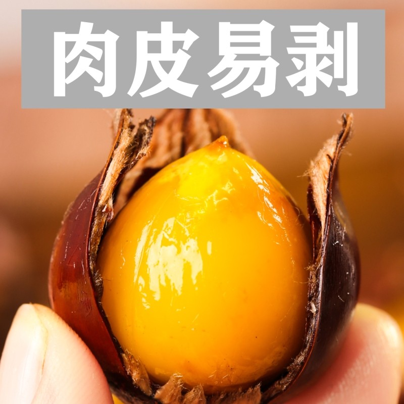 闽北2025新鲜正宗建瓯松溪政和锥栗油栗子农家现摘锥形栗子小毛栗