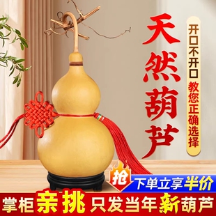 天然葫芦摆件客厅招财门对门口挂件原生带龙头开口木真纯胡芦朱砂