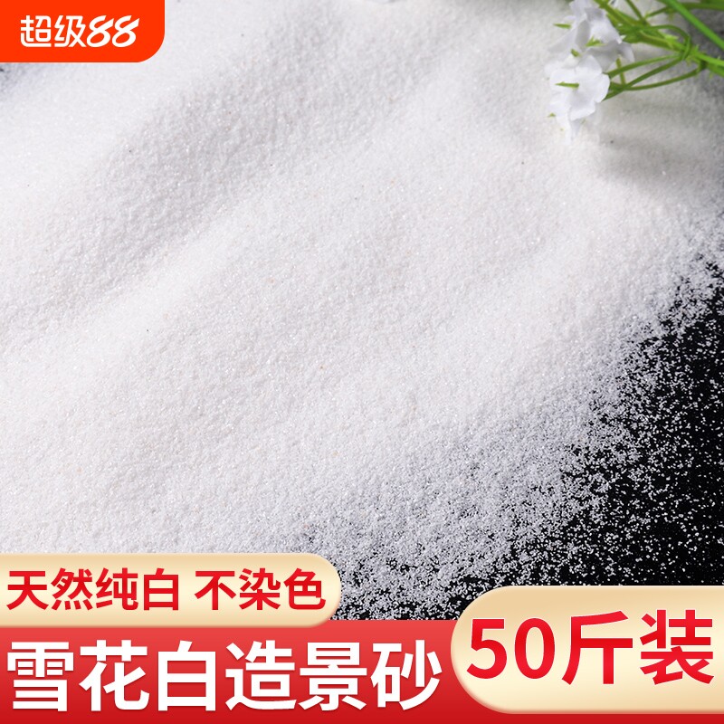 白沙子造景纯白石英砂鱼缸底砂枯山水细沙酒店烟灰缸垃圾桶游乐场图片