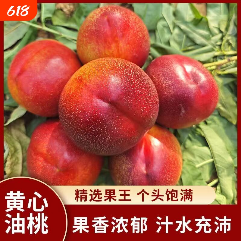 麻点黄心油桃当季新鲜水果现摘水果爆汁口感香甜爽脆果肉滑嫩饱满