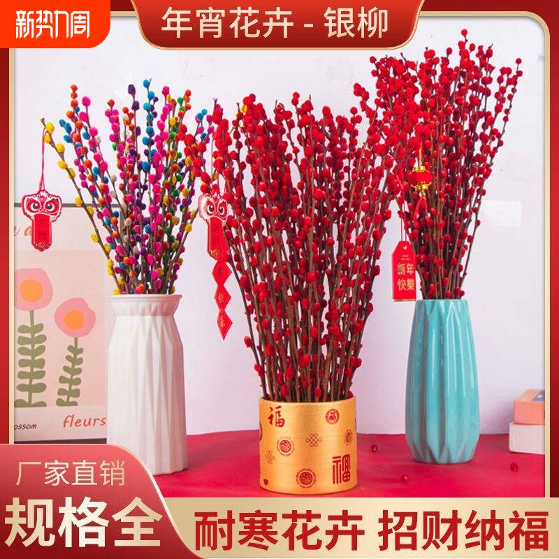 七彩银柳鲜枝真花红色年宵花卉福桶银柳耐寒植物干花室内装饰花束
