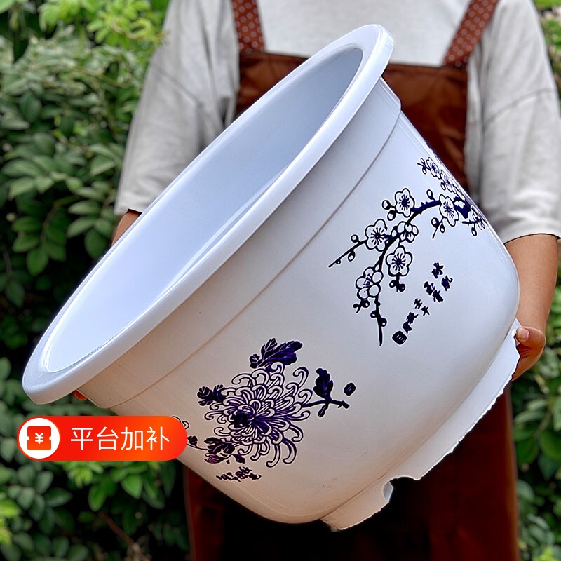 养鱼荷花盆塑料特大号无孔水培加厚绿植碗莲圆形庭院种果树仿陶瓷