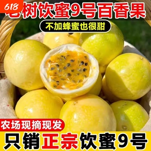 9号黄金百香果新鲜水果当季百香果大原果浆农场现摘