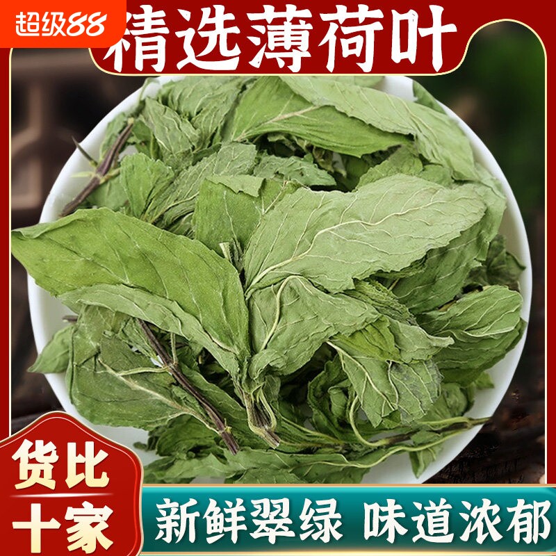 精选薄荷叶中药材无熏硫干薄荷叶茶无添加夏季清凉泡茶泡水喝新鲜图片