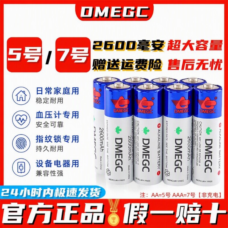 DMEGC原装5号电池2600毫安图片