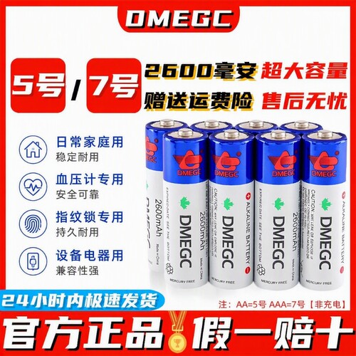 DMEGC原装5号电池2600毫安