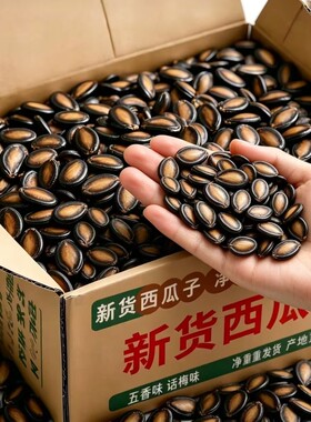 西瓜子五香味黑瓜子特大片话梅