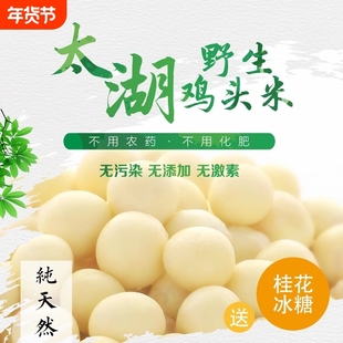 2025年鸡头米新鲜苏州特产芡实欠茨实正宗太湖野苏芡冷冻干货吴中