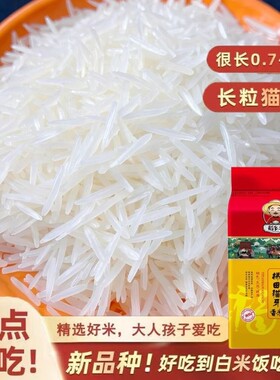 2025年猫牙新大米广西超长象牙香米梯田长粒优质优选细长籼米自种