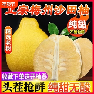 爆甜正宗广东梅州沙田柚子小金柚白心肉当季孕妇新鲜水果批发香甜