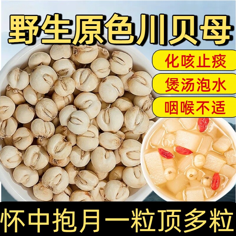 四川川贝母正宗无杂原色无添加中药材搭配炖汤川麦冬雪梨止咳润肺