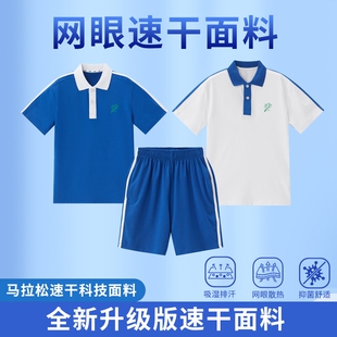 深圳校服小学生夏季网眼速干男女生短袖短裤套装透气一年级校服