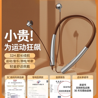 柏林之音蓝牙耳机2024年新款无线