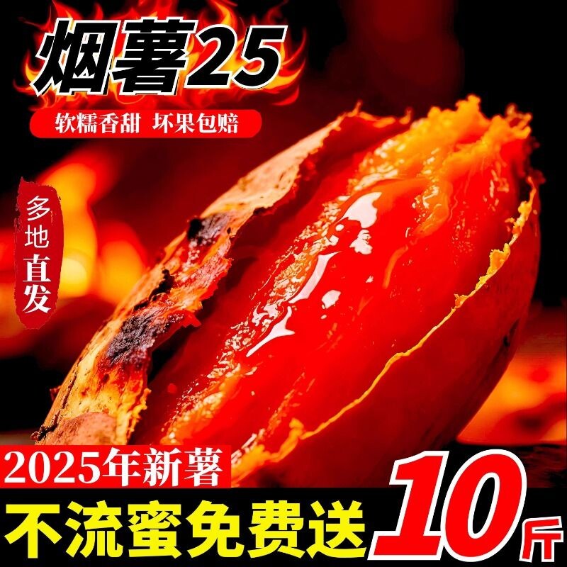 山东烟薯25号蜜薯糖心红薯正宗真烟薯烤薯店地瓜沙地番薯新鲜现挖