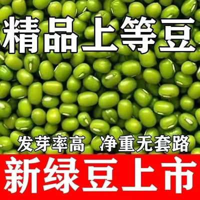 绿豆新货农家绿豆粥绿豆汤绿豆芽绿豆沙五谷杂粮东北农家自产发芽