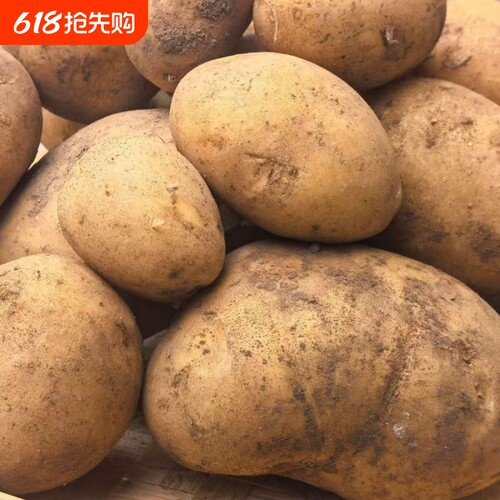 新鲜现挖土豆洋芋贵州农家自种