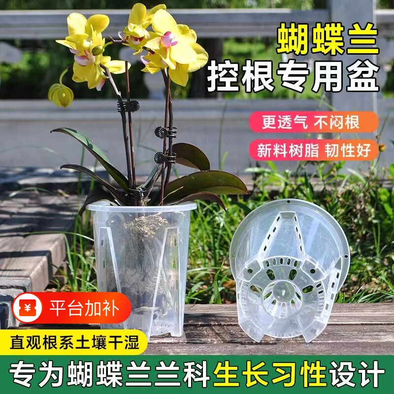 透明控根盆青山盆蝴蝶兰树脂花盆兰水苔塑料透气镂空大号家用托盘