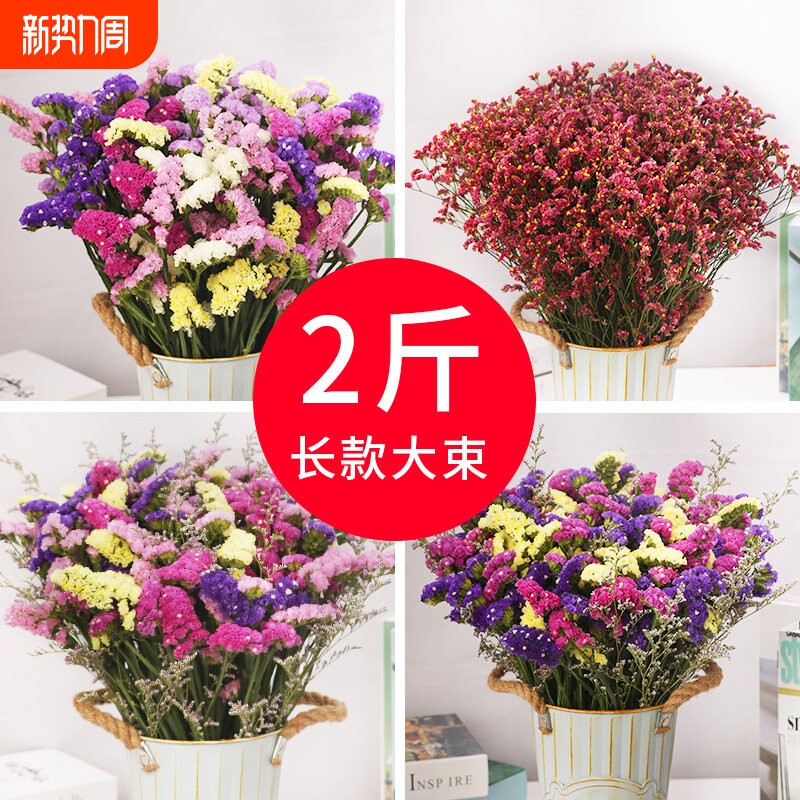 干花花束客厅摆设装饰摆件云南真花风干天然鲜花满天星勿忘我插花