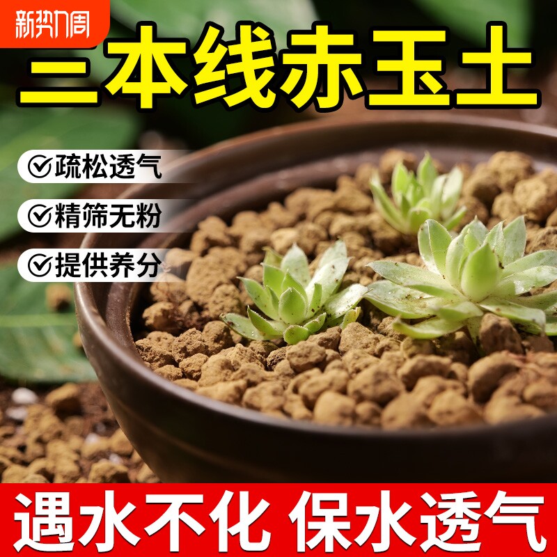赤玉土三本线多肉专用颗粒土盆栽铺面石兰花种植土乌龟爬宠营养土