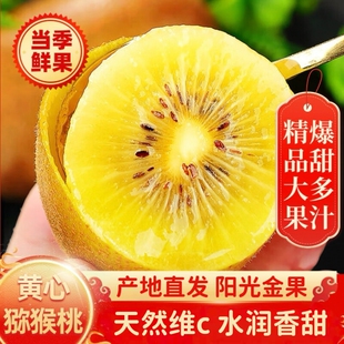 西峡黄心猕猴桃新鲜应季 整箱黄金奇异果 孕妇水果黄肉弥猴桃当季