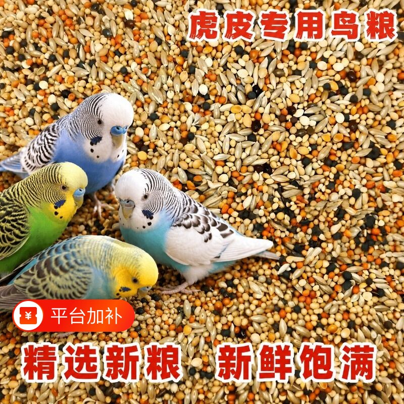 虎皮专用混合鸟粮饲料鸟食虎皮牡丹玄凤小米黍子黄谷子粮食五色