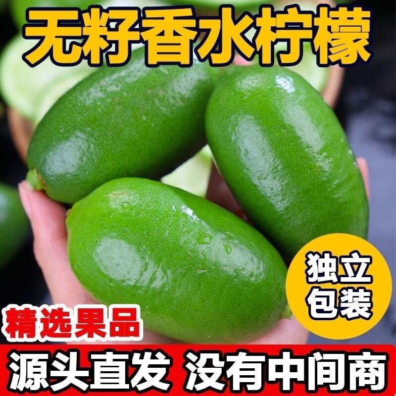 海南香水青柠檬无籽子弹头四季青柠5斤专用香柠檬新鲜鲜果奶茶店