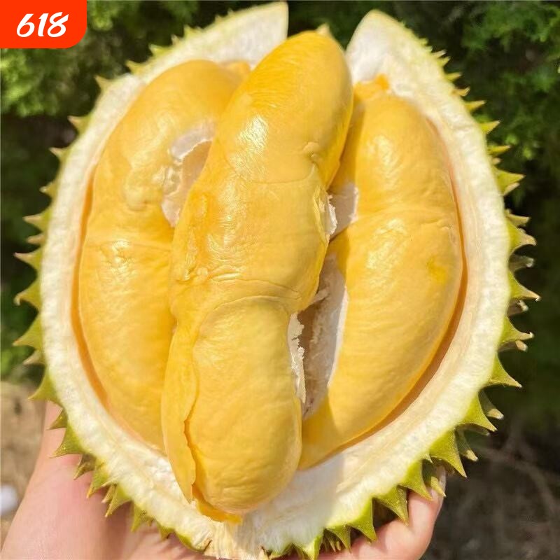 顺丰A级泰国金枕榴莲老树核小肉多干苞软糯当季猫山带壳一整颗