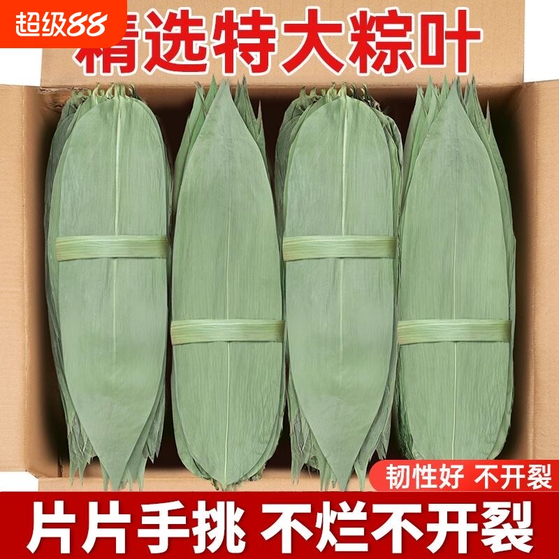 干粽叶特大号粽子叶新鲜麻竹叶商家用箬叶包粽子材料送棕绳图片