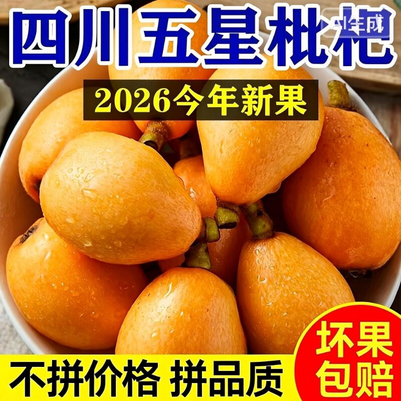 正宗四川汉源高山五星枇杷鲜果应季水果新鲜现摘琵琶当季整箱大果