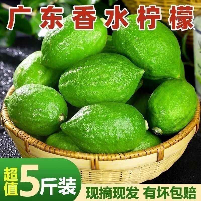 正宗广东香水柠檬新鲜青柠檬无籽一级果水果奶茶店专用香柠檬现摘