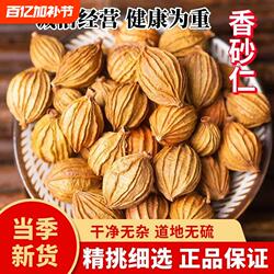 云南特产香砂仁金砂仁炖肉汤烧烤调料香料卤料包香沙花椒地道散装