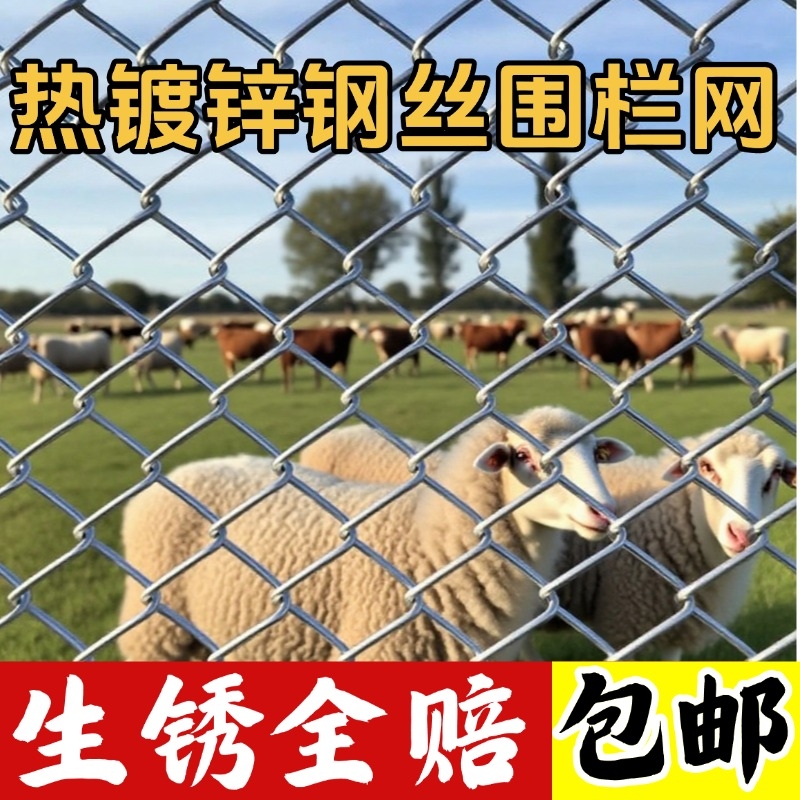 热镀锌铁丝网围栏网养鸡狗牛羊养殖网勾花网钢丝网户外防锈防护网