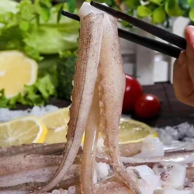 新鲜鱿鱼须冷冻尤鱼串腿生鲜鱿鱼二本足海鲜水产铁板鱿鱼商用批发