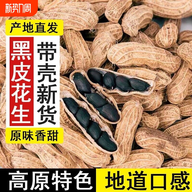云南黑皮黑花生带壳富硒正宗普洱2025新货特产小粒种籽原味味甜