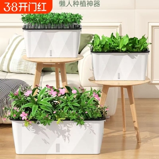 懒人花盆自吸水免浇水培阳台种菜盆长方形草莓专用盆塑料种植箱大