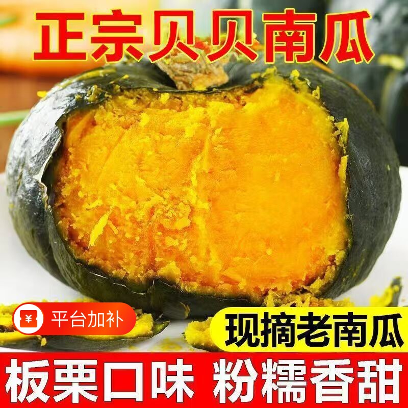 贝贝南瓜正宗板栗味新鲜小南瓜孕妇婴儿辅食老南瓜粉糯甜蔬果