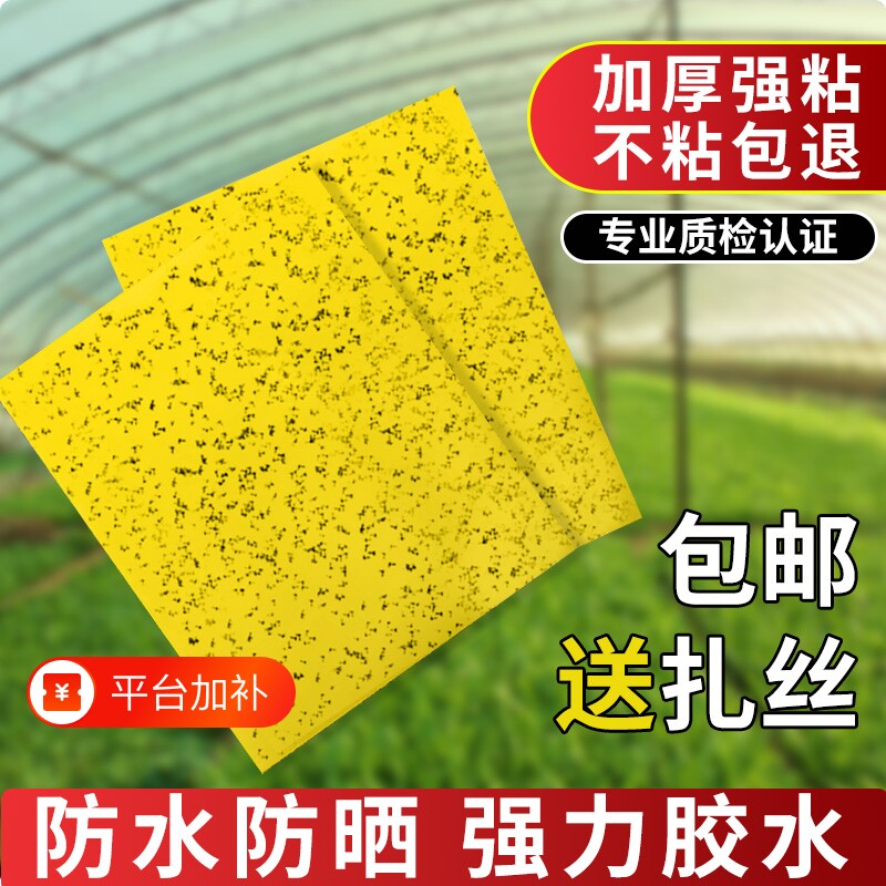 黄板粘虫板小飞虫诱捕器双面粘果蝇灭苍蝇贴粘蝇纸强力室内室外