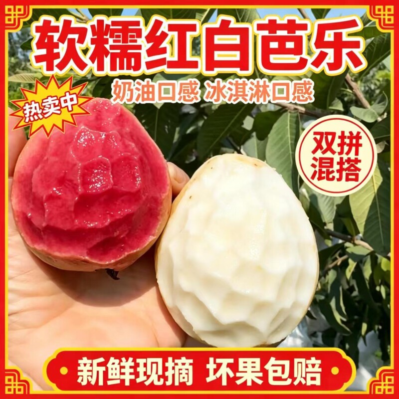 红心番石榴香甜软糯应季粉色芭乐广西双拼新鲜当季大人小孩老人果
