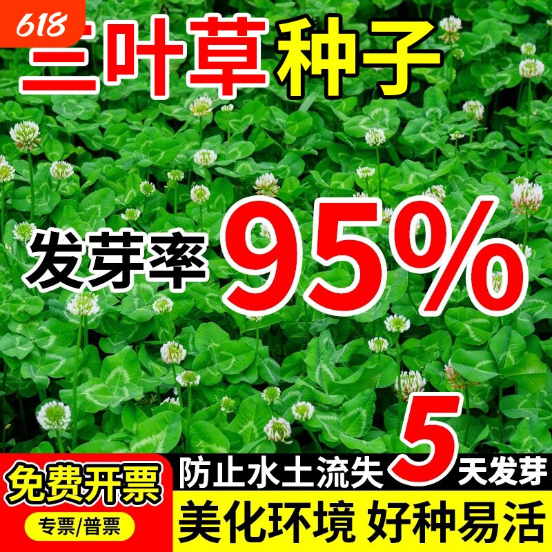 三叶草种子护坡固土绿化果园绿肥红三叶草种籽牧草白三叶多年生