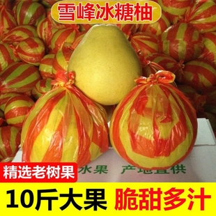 湖南怀化雪峰山冰糖柚子安江小柚子新鲜水果白心苦柚老树土柚药柚