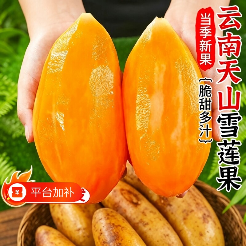 天山雪莲果新鲜水果应当季云南红心雪连果脆甜黄心特整箱包邮9斤