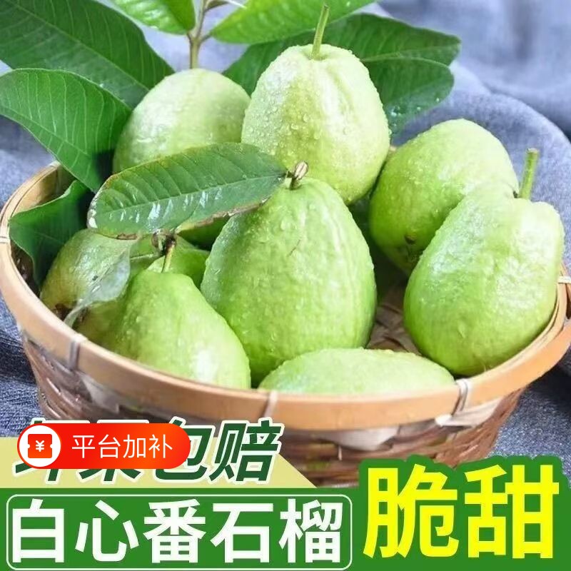 广西正宗芭乐番石榴芭乐白心水果当季新鲜白心现摘脆甜