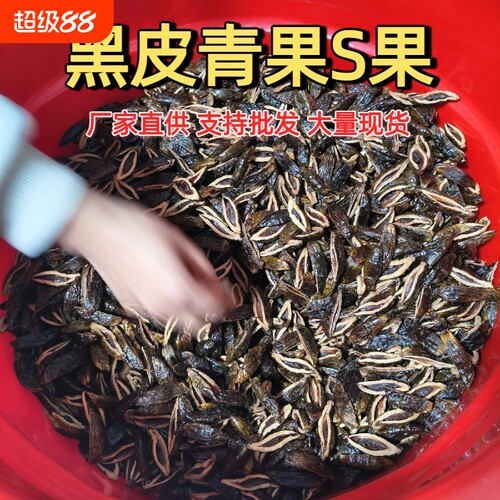 湘潭槟榔散装青果S批发天下口味散籽冰榔槟郎100一斤新鲜袋装半斤