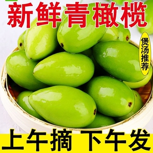 正宗酥甘香橄榄新鲜500g檀香生吃果零食福建特产青橄榄煲汤青果x