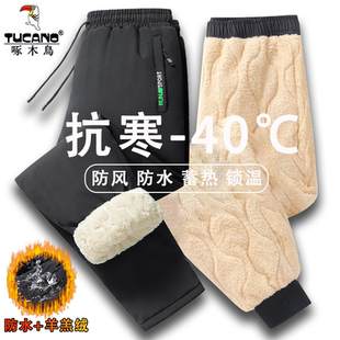 男款 外穿防风保暖羊羔绒裤 冬季 冲锋裤 子男 加绒加厚男士 啄木鸟棉裤