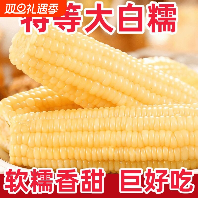 2025白糯玉米大棒黏玉米新鲜现摘真空袋装东北粘苞米整箱加热即食