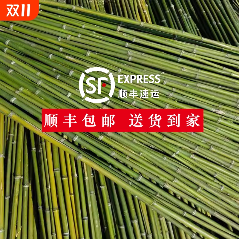 竹竿小竹杆菜园搭架子篱笆栅栏菜旗杆阳台植物豆角黄瓜爬藤花架