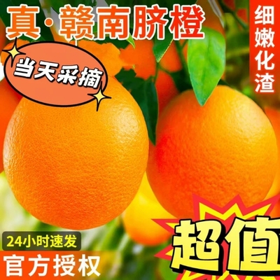 【平晏果园】赣南脐橙大果江西赣州橙子当季香甜鲜橙新鲜水果批发