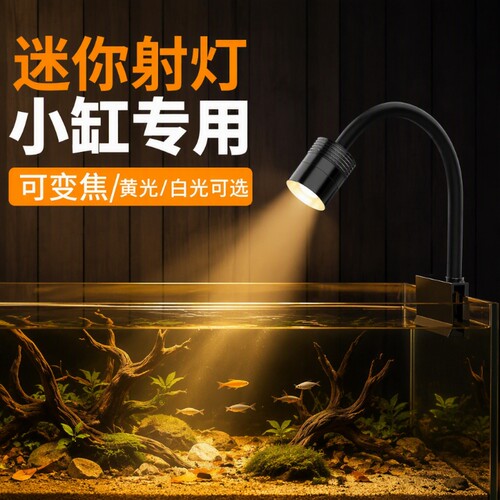 三定时鱼缸射灯金鱼水草灯